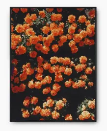 plakat-a3-30x40-w-ramie-imp-kwiaty-16