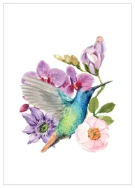 plakat-a3-30x40-w-ramie-tmp-koliber-07