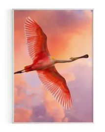plakat-a3-30x40-w-ramie-rmp-ptak-02