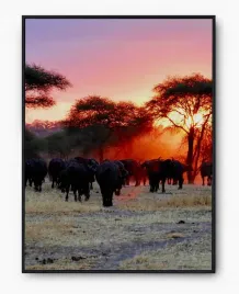 plakat-a3-30x40-w-ramie-imp-afryka-10