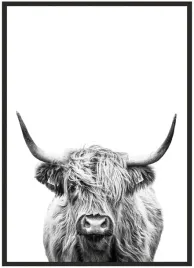 plakat-a4-21x30-w-ramie-duzo-wzorow-zwierzeta-03