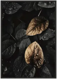 plakat-a4-21x30-w-ramie-liscie-gold-17
