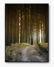 plakat-a3-30x40-w-ramie-imp-natura-13