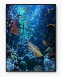 plakat-a3-30x40-w-ramie-imp-morze-02