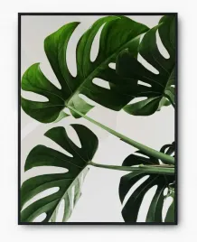 plakat-a3-30x40-w-ramie-imp-liscie-04