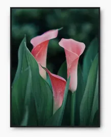 plakat-a3-30x40-w-ramie-imp-kwiaty-03