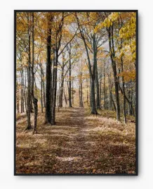 plakat-a3-30x40-w-ramie-imp-las-08