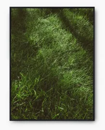 plakat-a3-30x40-w-ramie-imp-trawa-10