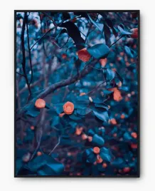 plakat-a3-30x40-w-ramie-imp-kwiaty-13