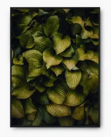 plakat-a3-30x40-w-ramie-imp-liscie-08