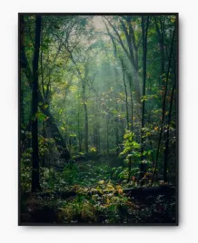 plakat-a3-30x40-w-ramie-imp-las-18