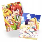 plakat-gabriel-dropout-do-wyboru