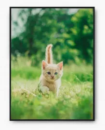 plakat-a3-30x40-w-ramie-imp-zwierzatka-cute-01