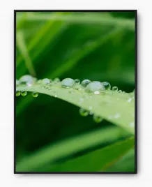plakat-a3-30x40-w-ramie-imp-trawa-20