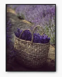 plakat-a3-30x40-w-ramie-imp-lawenda-09