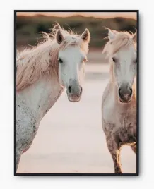 plakat-a3-30x40-w-ramie-imp-konie-12