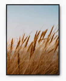 plakat-a3-30x40-w-ramie-imp-zboze-01