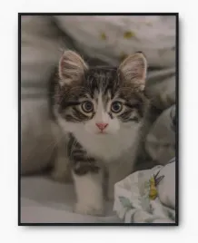 plakat-a3-30x40-w-ramie-imp-zwierzatka-cute-08