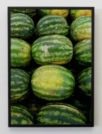 plakat-a3-30x40-w-ramie-jmp-owoce-09