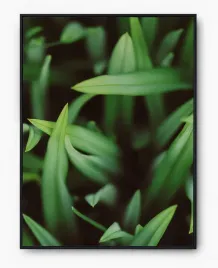 plakat-a3-30x40-w-ramie-imp-trawa-07