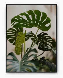 plakat-a3-30x40-w-ramie-imp-monstery-09