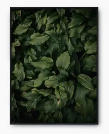 plakat-a3-30x40-w-ramie-imp-liscie-01
