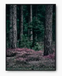 plakat-a3-30x40-w-ramie-imp-las-11