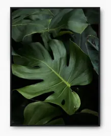 plakat-a3-30x40-w-ramie-imp-monstery-20