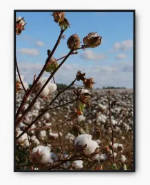 plakat-a3-30x40-w-ramie-imp-bawelna-03