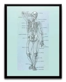 plakat-a3-30x40-w-ramie-tmp-edu-01