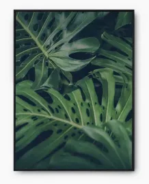 plakat-a3-30x40-w-ramie-imp-monstery-05