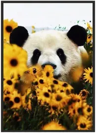plakat-a4-21x30-w-ramie-duzo-wzorow-zwierzeta-15