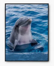 plakat-a3-30x40-w-ramie-imp-zwierzatka-cute-03