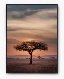 plakat-a3-30x40-w-ramie-imp-afryka-02