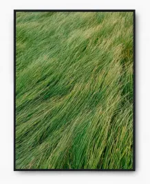 plakat-a3-30x40-w-ramie-imp-trawa-04