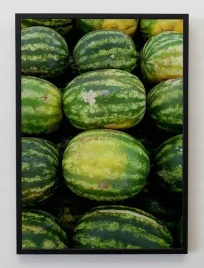 plakat-bez-ramy-a3-30x40-jmp-owoce-09