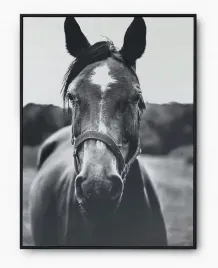 plakat-a3-30x40-w-ramie-imp-konie-15