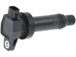cewka-ngk-48245