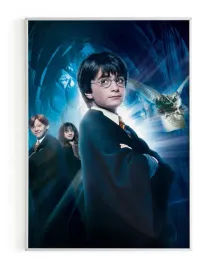 plakat-a3-30x40-w-ramie-rmp-harry-potter-09