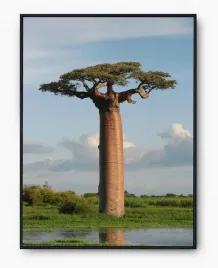 plakat-a3-30x40-w-ramie-imp-afryka-07