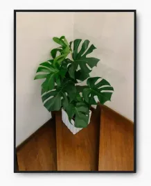plakat-a3-30x40-w-ramie-imp-monstery-03