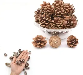 szyszki-naturalne-ozdobne-do-domu-1kg-susz-swieta