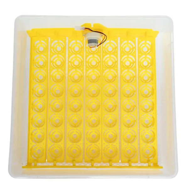 inkubator-klujnik-wylegarka-56-jaj-wylegu-drobiu-kod-producenta-yz56