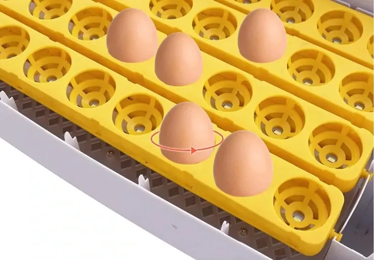 inkubator-klujnik-wylegarka-56-jaj-wylegu-drobiu-zawartosc-zestawu-owoskop-przeswietlarka-siatka-taca-do-jaj