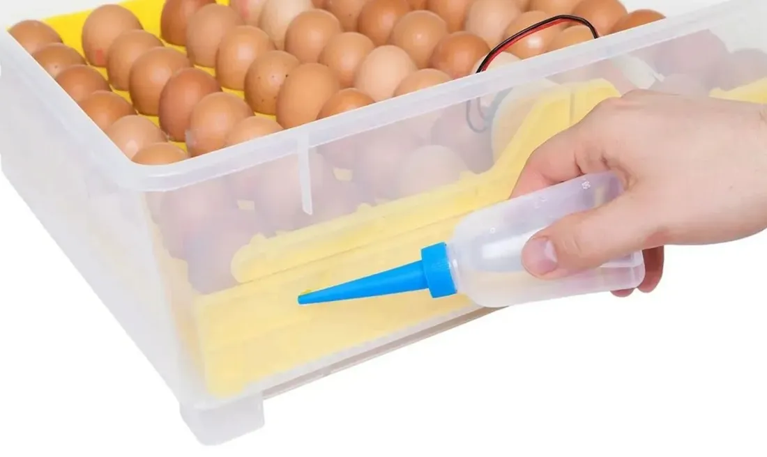 inkubator-klujnik-wylegarka-56-jaj-wylegu-drobiu