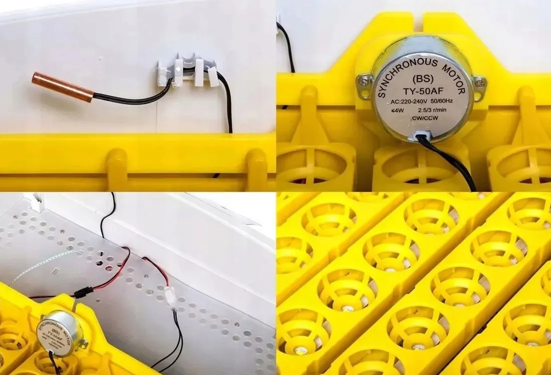 inkubator-klujnik-wylegarka-56-jaj-wylegu-drobiu