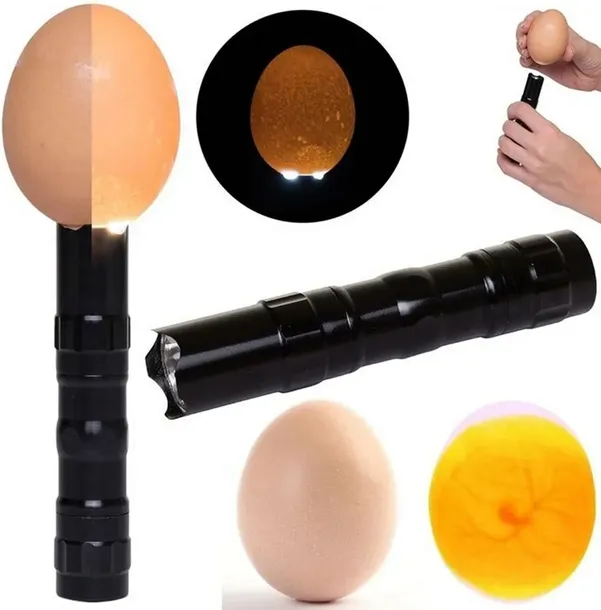 inkubator-klujnik-wylegarka-56-jaj-wylegu-drobiu-waga-z-opakowaniem-3-kg-nazwa-handlowa-inkubator-z-klujnikiem-ecosmart-yz56