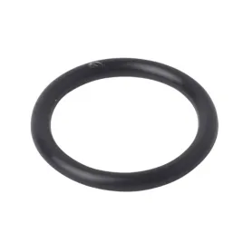 86977728-o-ring-case-new-holland-oryginal