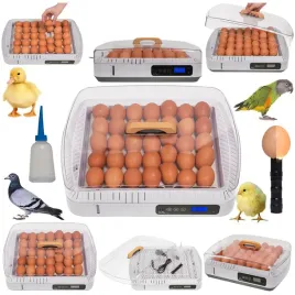 inkubator-klujnik-wylegarka-jaj-wylegu-35-jaj