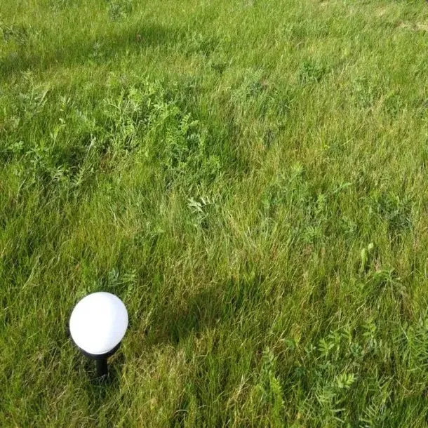 lampa-ogrodowa-wbijana-kula-10-cm-led-solarna-biala-z-czujnikiem-ecolight-srednica-szerokosc-10-cm